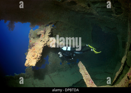 Plongeur à la recherche de shipwreck 'SS' Dunraven. Red Sea, Egypt, Africa Banque D'Images