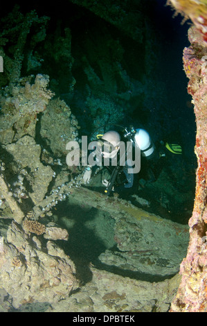 Plongeur à la recherche de shipwreck 'SS' Dunraven. Red Sea, Egypt, Africa Banque D'Images