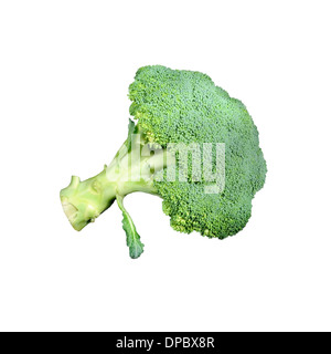 Le brocoli sur fond blanc. Banque D'Images