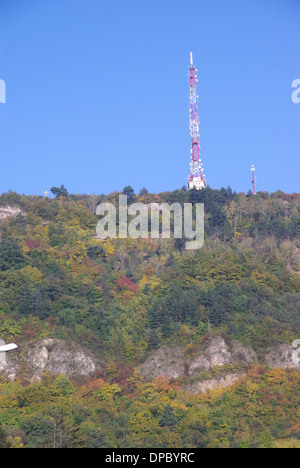 Forêt en automne sur une colline avec une tour de la télévision. Banque D'Images