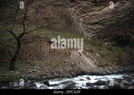 La Gorge Garni possède des colonnes, creusé par la rivière Goght, dénommé le "Symphony des pierres'. Banque D'Images