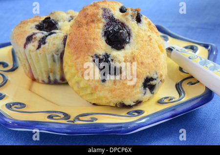 Muffins aux bleuets frais chaud dès la sortie du four Banque D'Images