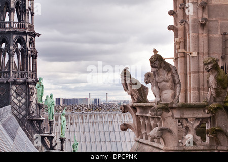 Les gargouilles de la cathédrale Notre Dame de Paris, France. Banque D'Images