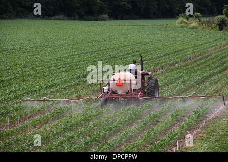 La pulvérisation des insecticides sur l'agriculteur de l'Indiana de maïs Banque D'Images