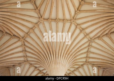 Détail de la Salle Capitulaire en plafond cathédrale Wells, Angleterre. Banque D'Images