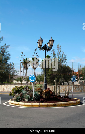 L'île de trafic avec les cactus et succulentes, Caleta de Fuste, Fuerteventura, Îles Canaries, Espagne. Banque D'Images