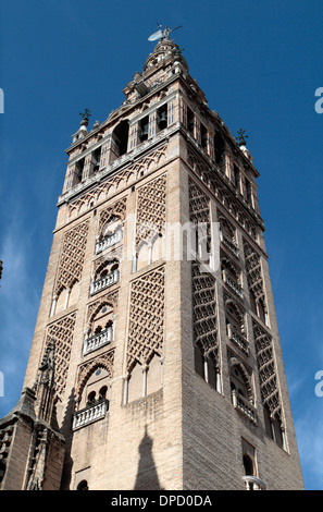 La Giralda ('La Giralda"‎) un ancien minaret qui est aujourd'hui un clocher de la Cathédrale, Séville, (Sevilla), Andalousie, espagne. Banque D'Images