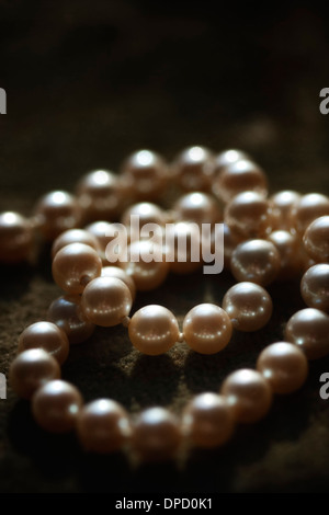 Un seul brin de perles sur un velouté de Brocade. Banque D'Images