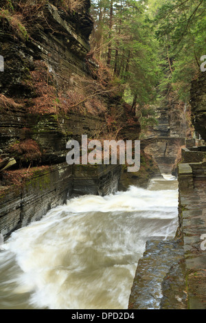 Enfield Creek bidons par une gorge et sous une arche de pierre à Robert Treman State Park près de Ithaca, NY Banque D'Images