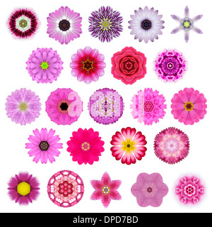 Grande sélection de diverses fleurs colorées Mandala kaléidoscopique isolé sur blanc. Grande collection de fleurs en cercles concentriques Banque D'Images