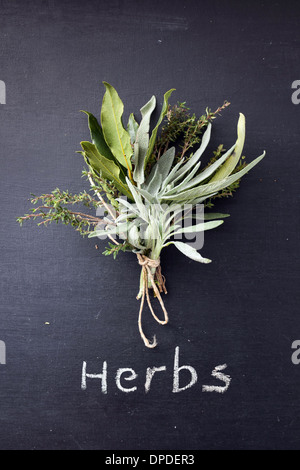 Herbes fraîches liées sur tableau noir Banque D'Images