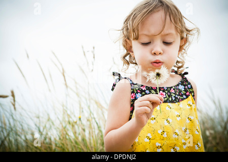 Portrait of female toddler avec dandelion clock Banque D'Images