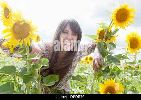 Mid adult woman in champ de tournesols Banque D'Images