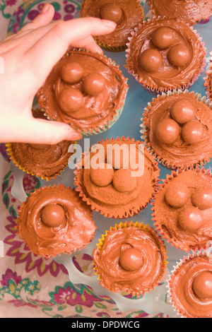 Close up of hand picking up cupcake chocolat Banque D'Images