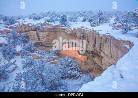 Ruine antique et la neige, Projet de San Juan Basktmaker La Culture Anasazi désert Utah Cliff dwellings Banque D'Images