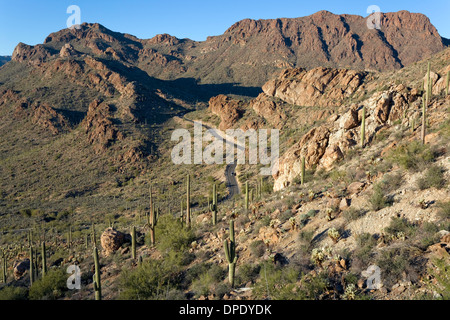 Pass Portes coupe à travers les montagnes de Tucson, Saguaro National Park, à l'Ouest, Tucson Arizona Banque D'Images