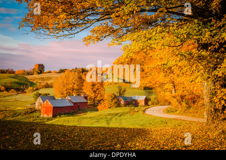 À l'aube d'automne Jenné ferme près de South Woodstock, Vermont, Etats-Unis Banque D'Images