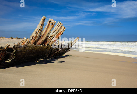 Close up de nervures en bois d'une vieille épave pourrir sur la rive sur Skeleton Coast en Afrique Namibie Banque D'Images