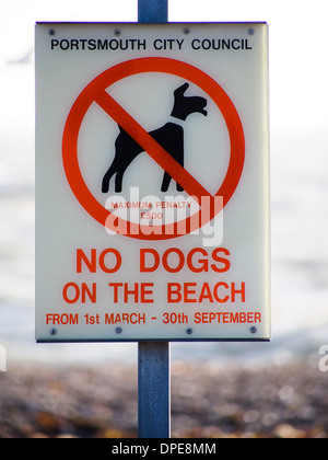 Un signe sur front de mer de Southsea, Portsmouth, Angleterre, déclarant que les chiens ne sont pas admis sur la plage en haute saison Banque D'Images