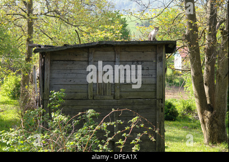 Vieux chalet dans un jardin Banque D'Images