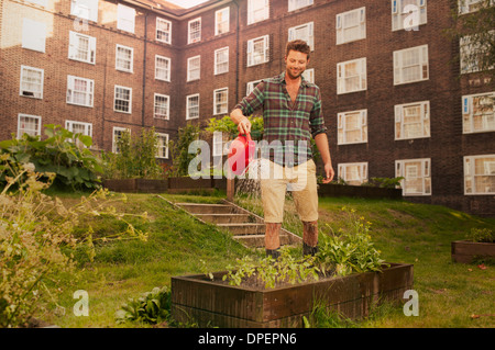 Mid adult man watering lits surélevés sur l'allotissement immobilier conseil Banque D'Images