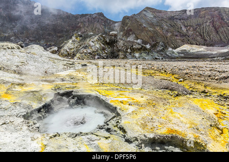 Un stratovolcan andésitique actif sur White Island, au large de la côté est de l'Île du Nord, Nouvelle-Zélande, Pacifique Banque D'Images