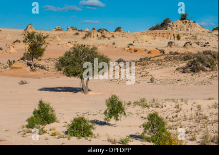 Murs de la Chine, une série de lunettes dans le parc national de Mungo, Région des lacs Willandra, Site de l'UNESCO, Victoria, Australie Banque D'Images