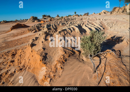 Murs de la Chine, une série de lunettes dans le parc national de Mungo, Région des lacs Willandra, Site de l'UNESCO, Victoria, Australie Banque D'Images