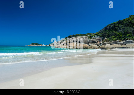 Jolie plage normande dans la région de Wilsons Promontory National Park, Victoria, Australie, Pacifique Banque D'Images
