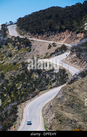 Serpentant à travers la route de montagne Alpes victoriennes, Victoria, Australie, Pacifique Banque D'Images