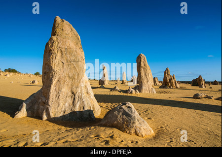 Les formations calcaires Pinacles au coucher du soleil dans le Parc National de Nambung, Australie occidentale, Australie, Pacifique Banque D'Images