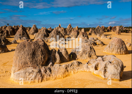 Les formations calcaires Pinacles au coucher du soleil dans le Parc National de Nambung, Australie occidentale, Australie, Pacifique Banque D'Images