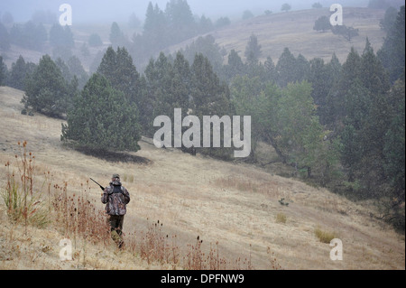 Deer Hunter de marcher à travers un champ, John Day, Oregon, USA Banque D'Images