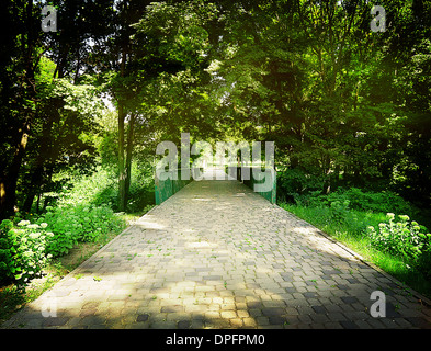 Chemin pavé de pierres et de pont dans le parc Banque D'Images