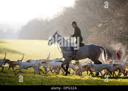 La Boxing Day beaufort chasse se pratique près de Didmarton, dans les motifs de la spectaculaire Badminton Estate Banque D'Images