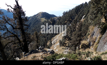 Avis sur l'Ouest/Triund-Galla Dhauladhar/Gulla chemin, au-dessus de Mcleodganj, Dharamasala, Himachal Pradesh, Inde du Nord. Banque D'Images