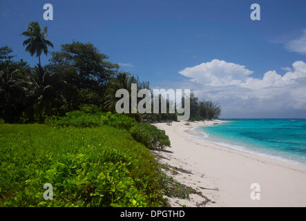 Plage de sable fantastique seul, Denis l'Islande, Seychelles, océan Indien, Afrique - Décembre 2013 Banque D'Images