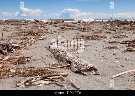 La plage jonchée de bois flotté à Hokitika, côte ouest, Nouvelle-Zélande. Banque D'Images