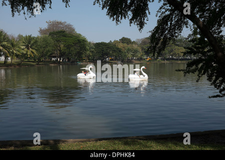 Lac de plaisance au parc Lumpini Bangkok Banque D'Images