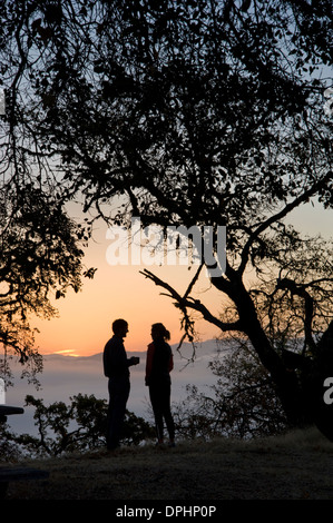 Couple appréciant les paysages dans le comté de Mendocino, en Californie Banque D'Images