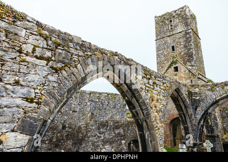 Kilcrea, Irlande - 28 novembre 2012 : cité médiévale Kilcrea Kilcrea Friary (Abbaye) situé près d'un four Banque D'Images