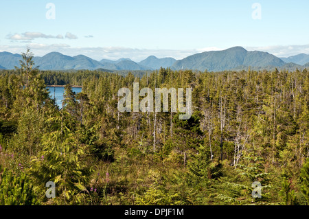 Une vue de la forêt du Grand Ours, vu depuis une montagne au-dessus de la Première Nation Heiltsuk ville de Bella Bella, en Colombie-Britannique, Canada. Banque D'Images