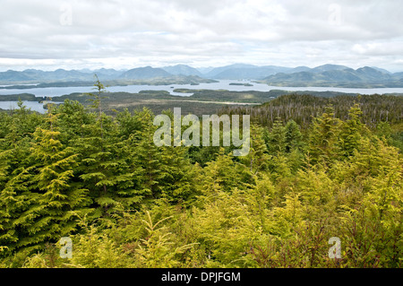 Une vue de la forêt du Grand Ours, vu depuis une montagne au-dessus de la Première Nation Heiltsuk ville de Bella Bella, en Colombie-Britannique, Canada. Banque D'Images