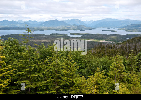 Une vue de la forêt du Grand Ours, vu depuis une montagne au-dessus de la Première Nation Heiltsuk ville de Bella Bella, en Colombie-Britannique, Canada. Banque D'Images