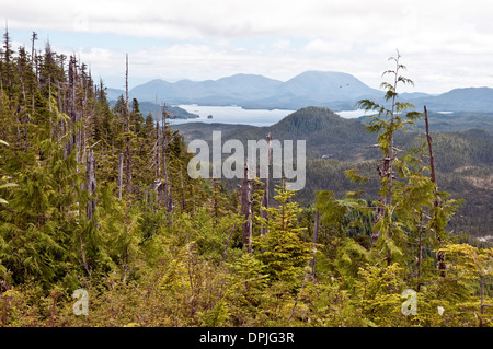 Une vue de la forêt du Grand Ours, vu depuis une montagne au-dessus de la Première Nation Heiltsuk ville de Bella Bella, en Colombie-Britannique, Canada. Banque D'Images