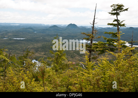 Une vue de la forêt du Grand Ours, vu depuis une montagne au-dessus de la Première Nation Heiltsuk ville de Bella Bella, en Colombie-Britannique, Canada. Banque D'Images