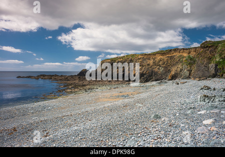 Plage de galets au stade Cove, Copper Coast Geopark, comté de Waterford, Irlande Banque D'Images