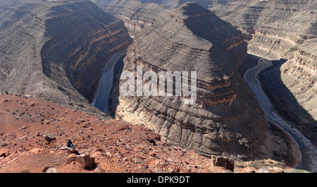 Rivière San Juan, Goosenecks State Park, Utah, États-Unis d'Amérique, Amérique du Nord Banque D'Images