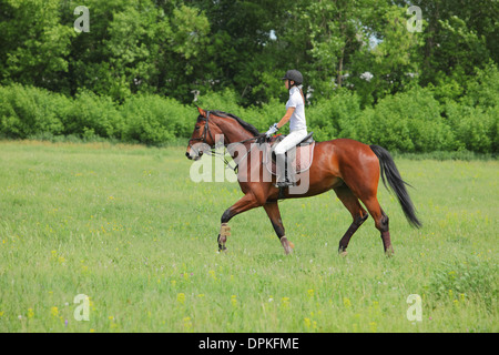 Kid rider trains le cheval dans le cours d'équitation Banque D'Images