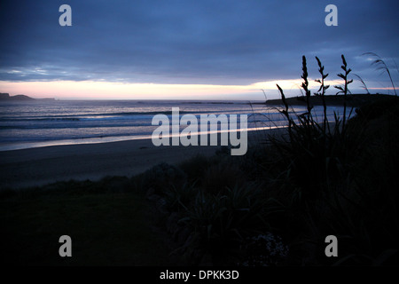 La fin de la journée dans les Catlins comme le soleil se couche sur la plage à Curio bay Banque D'Images